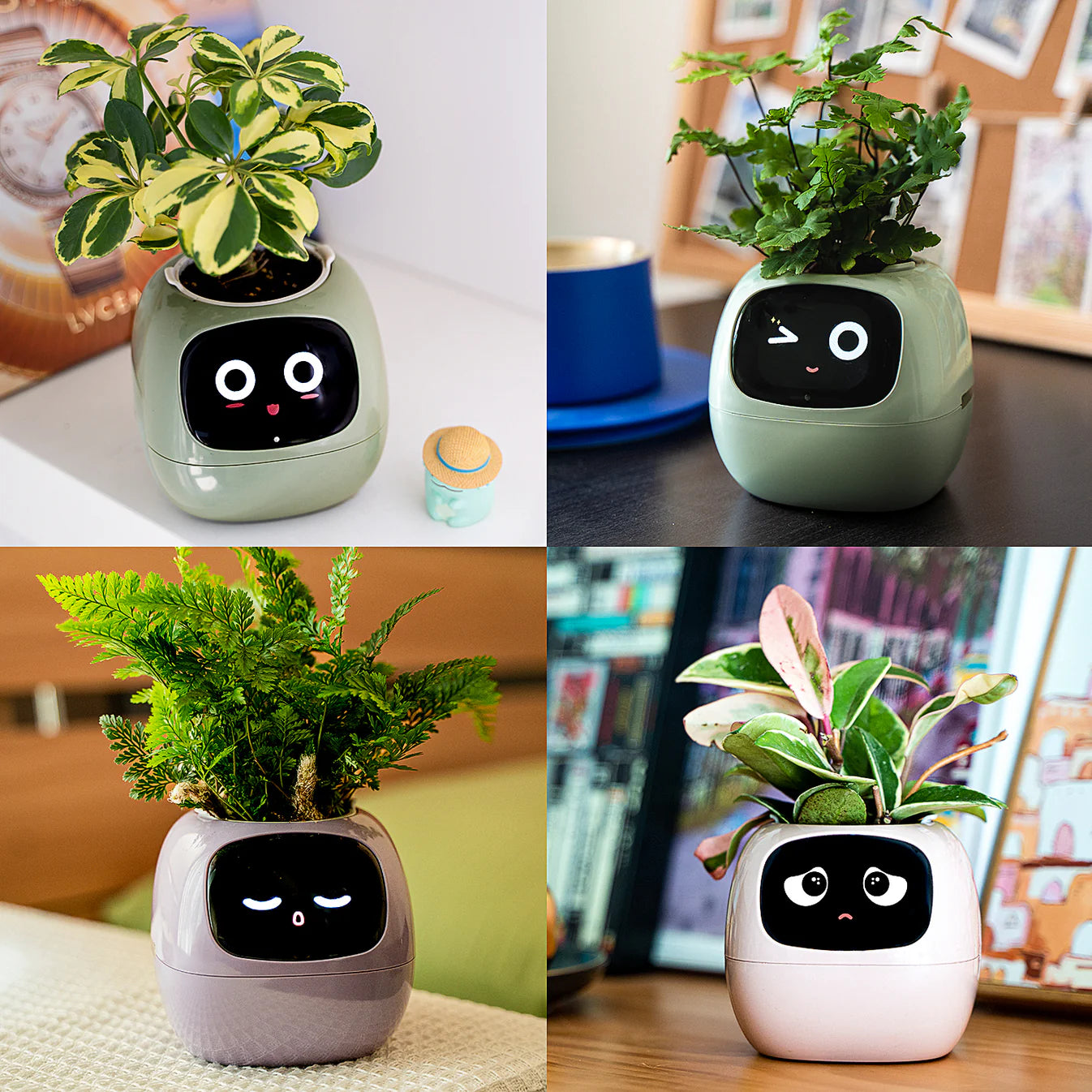 Ivy Smart Planter