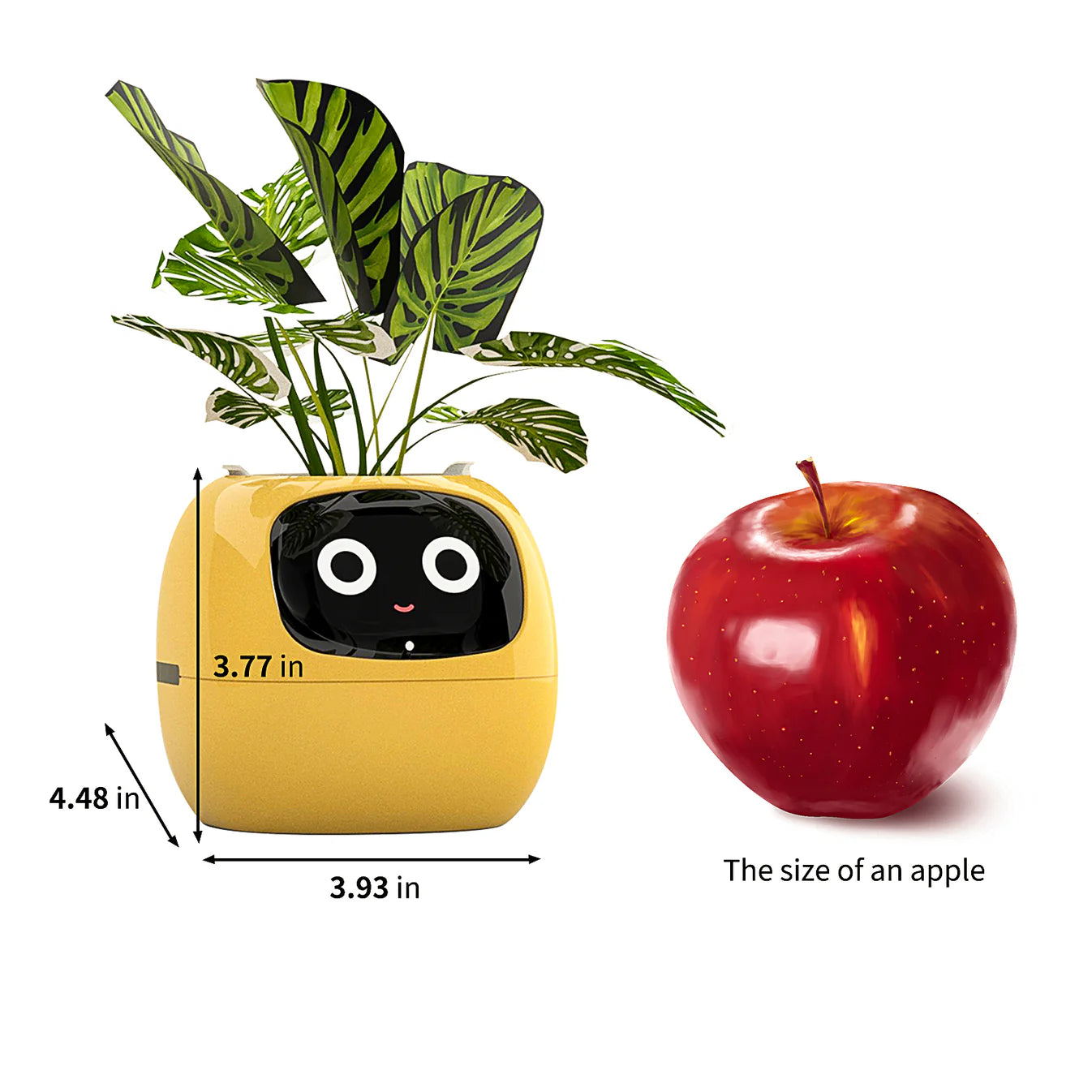 Ivy Smart Planter