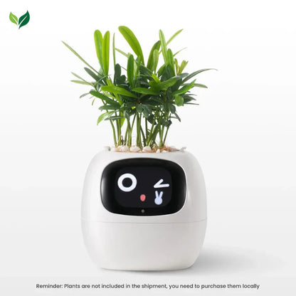 Ivy Smart Planter
