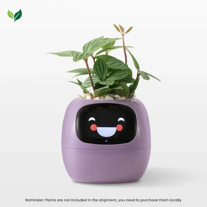 Ivy Smart Planter